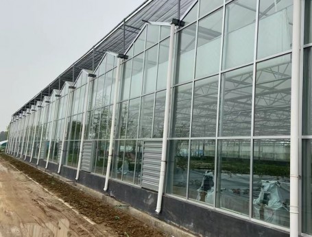 玻璃溫室